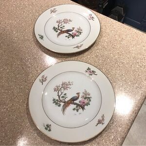 Birds of Paradise Plate Set